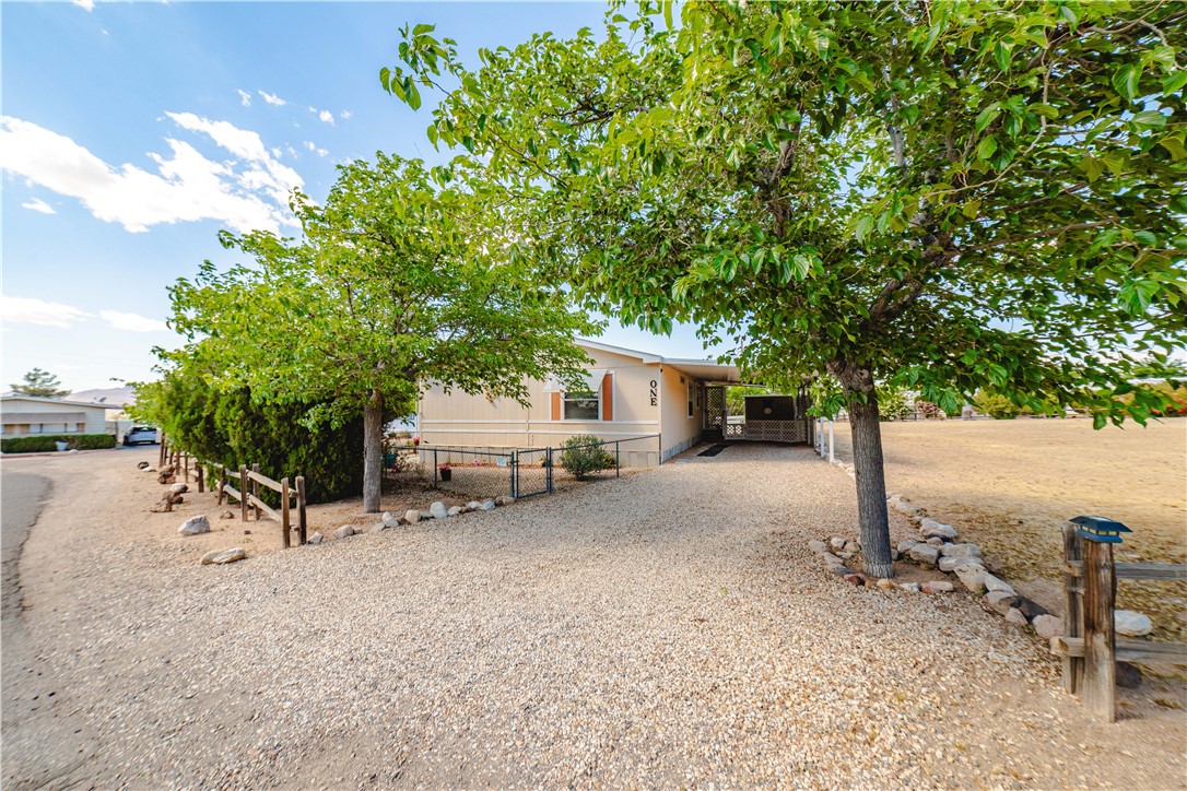 3003 Hualapai Mountain Road Kingman, AZ 86401 - Photo 44 of 49 a view of a house with backyard and a tree