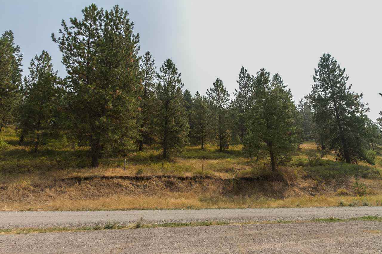 354 Rocky Lake Road Colville, WA 99114 - Photo 14 of 15