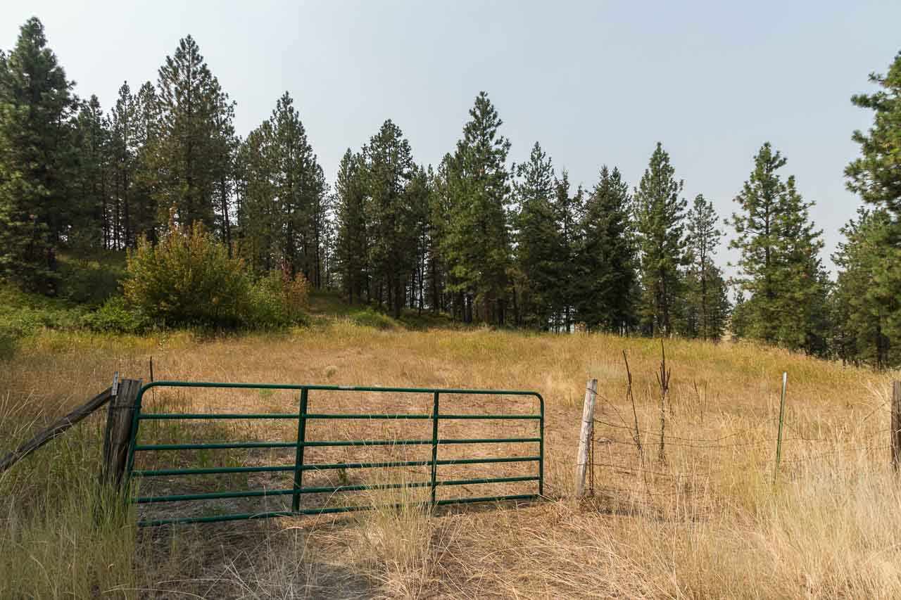 354 Rocky Lake Road Colville, WA 99114 - Photo 15 of 15