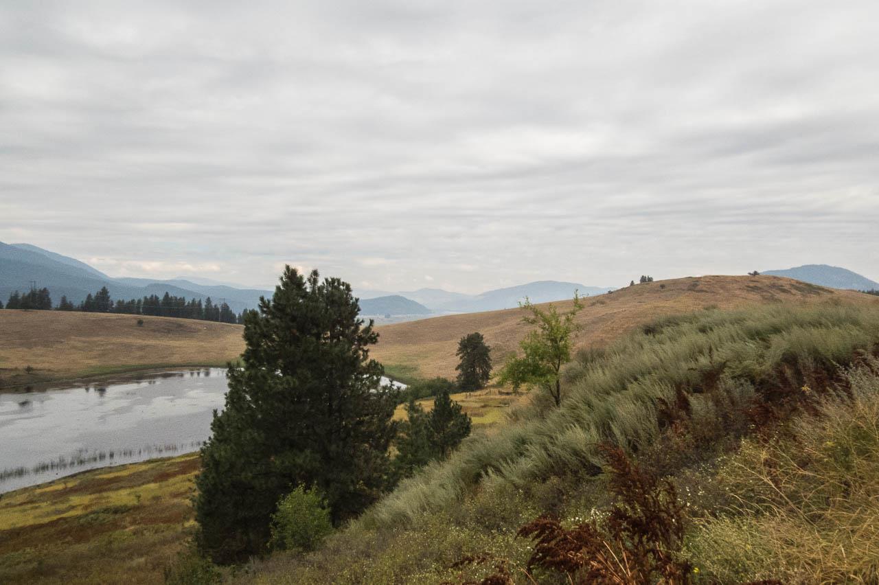 354 Rocky Lake Road Colville, WA 99114 - Photo 3 of 15