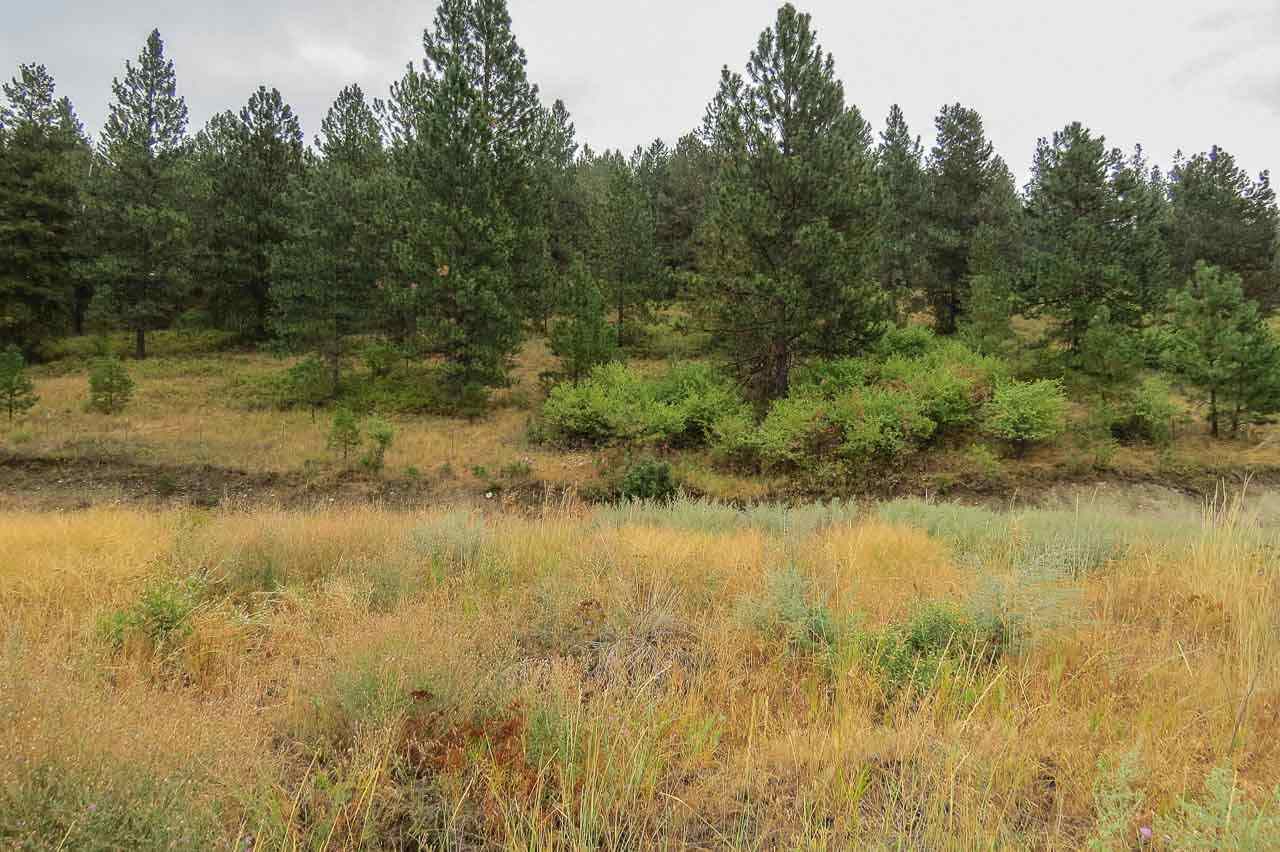 354 Rocky Lake Road Colville, WA 99114 - Photo 4 of 15