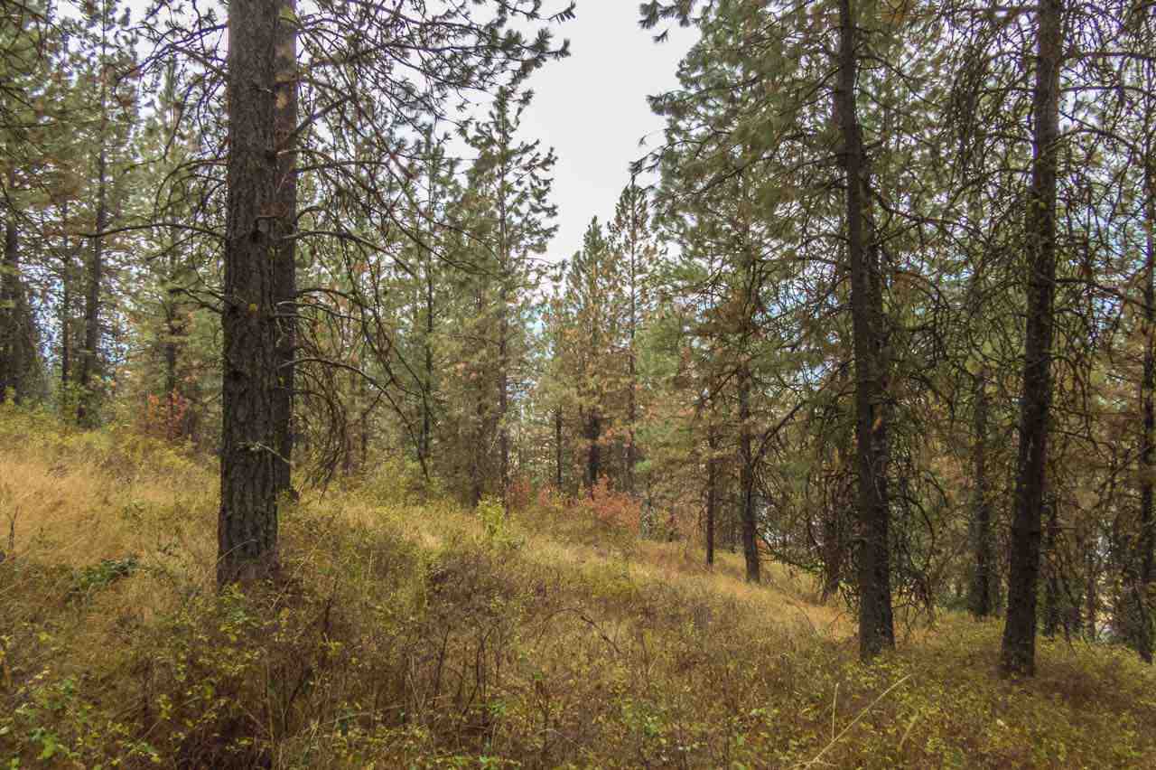 354 Rocky Lake Road Colville, WA 99114 - Photo 6 of 15