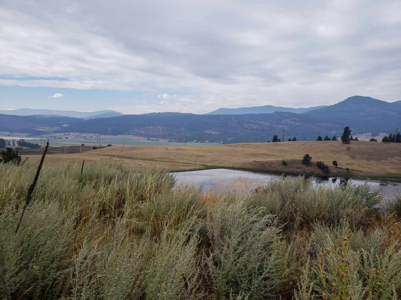 354 Rocky Lake Road Colville, WA 99114 - Photo 8 of 15