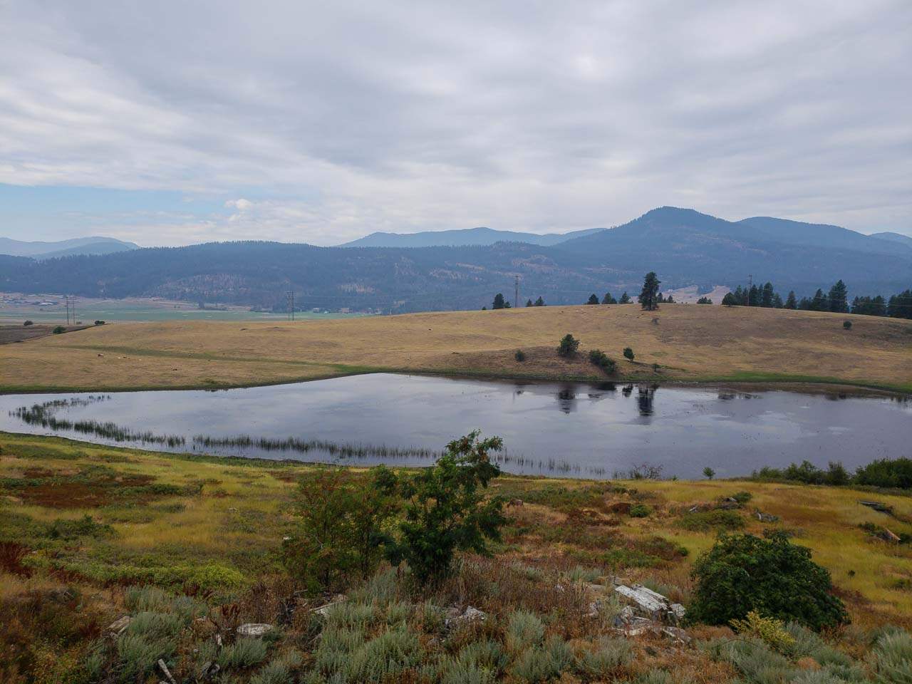 354 Rocky Lake Road Colville, WA 99114 - Photo 9 of 15