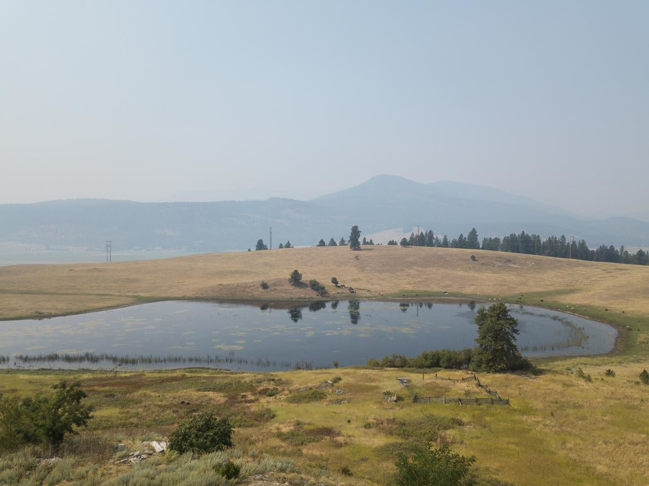 354 Rocky Lake Road Colville, WA 99114 - Photo 10 of 15