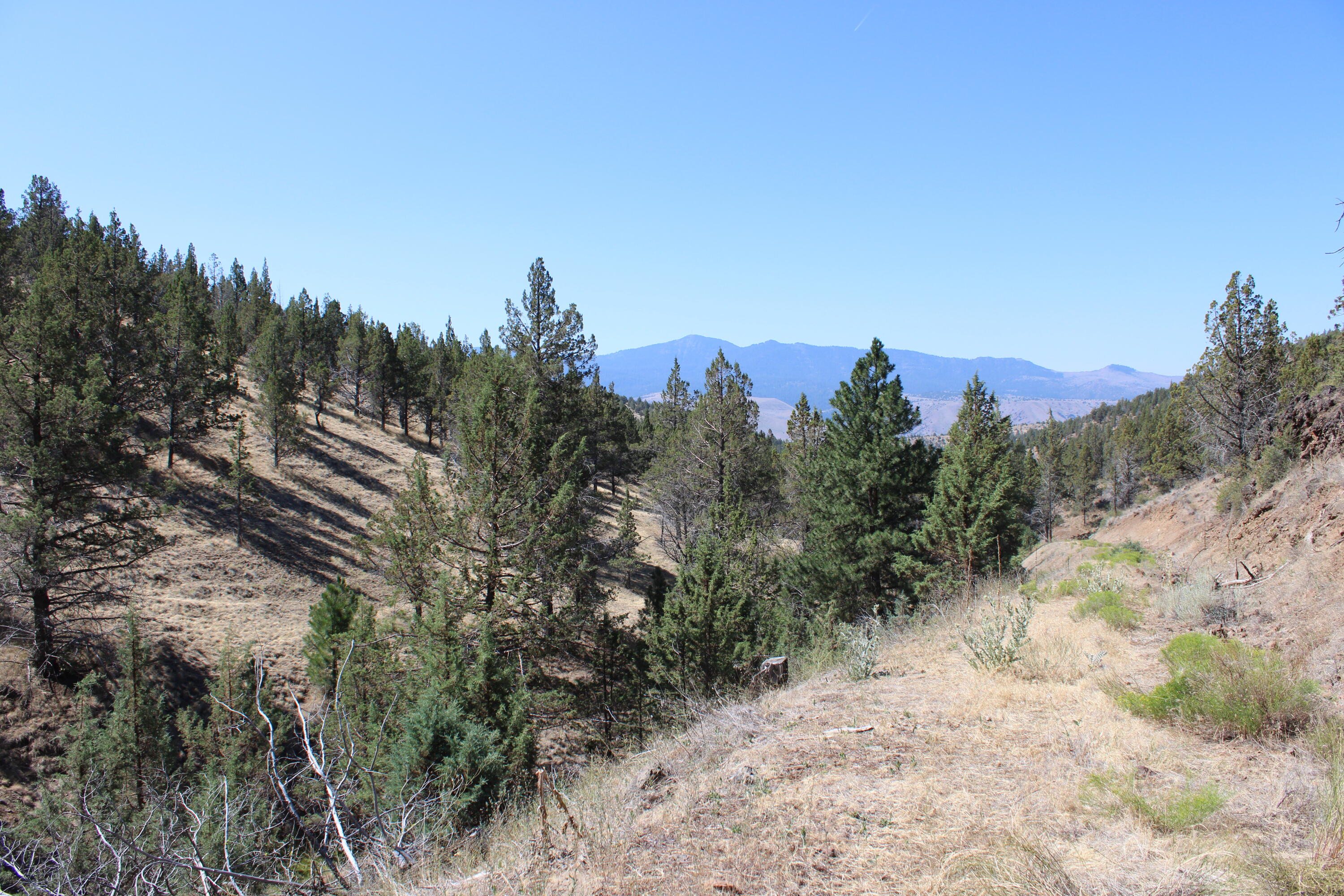 2400 Wiley Creek Road Mount Vernon, OR 97865 - Photo 22 of 34 IMG_1961