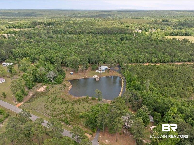 3160 Old Castleberry Road Brewton, AL 36426 - Photo 29 of 36 Expansive property featuring a private pond with a dock, surrounded by mature trees