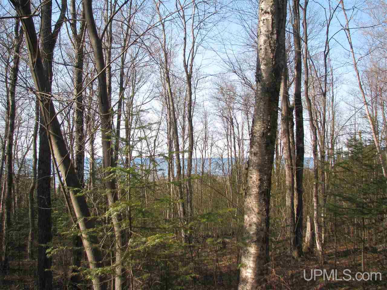 Tbd County Rd H-58 Grand Marais, MI 49839 - Photo 2 of 11