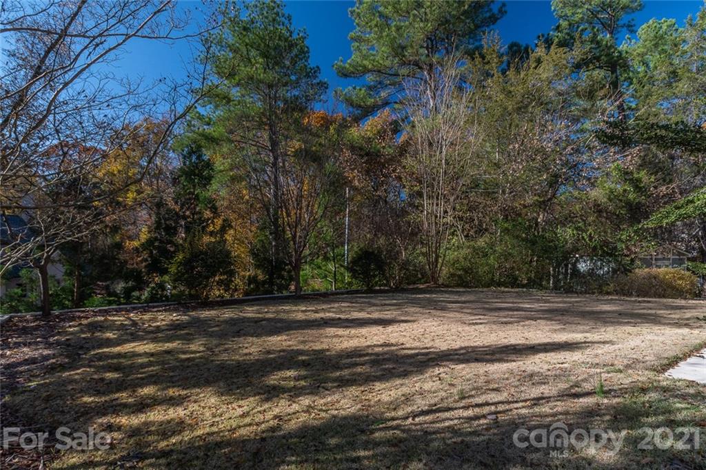 246 Pine Road Davidson, NC 28036 - Photo 33 of 33 Gallery Image 33