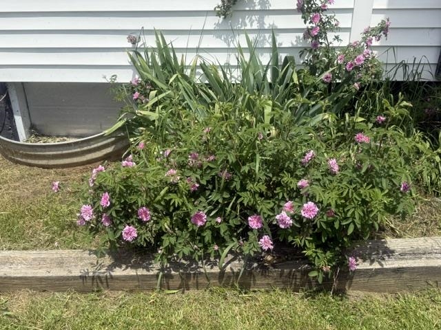 380 Stratton Road Rutland, VT 05701 - Photo 24 of 28