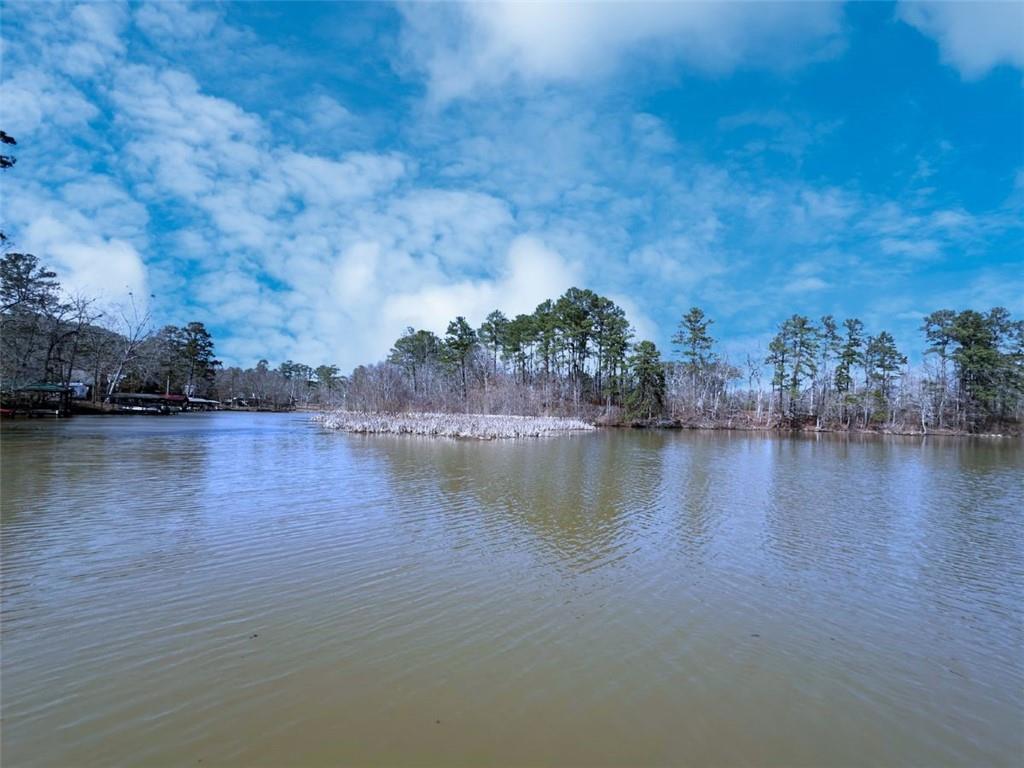 0 North Steel Bridge Road Eatonton, GA 31024 - Photo 4 of 17