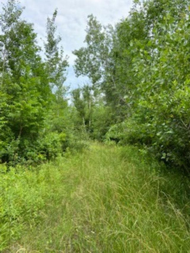 Bard Road Coleman, MI 48618 - Photo 5 of 5