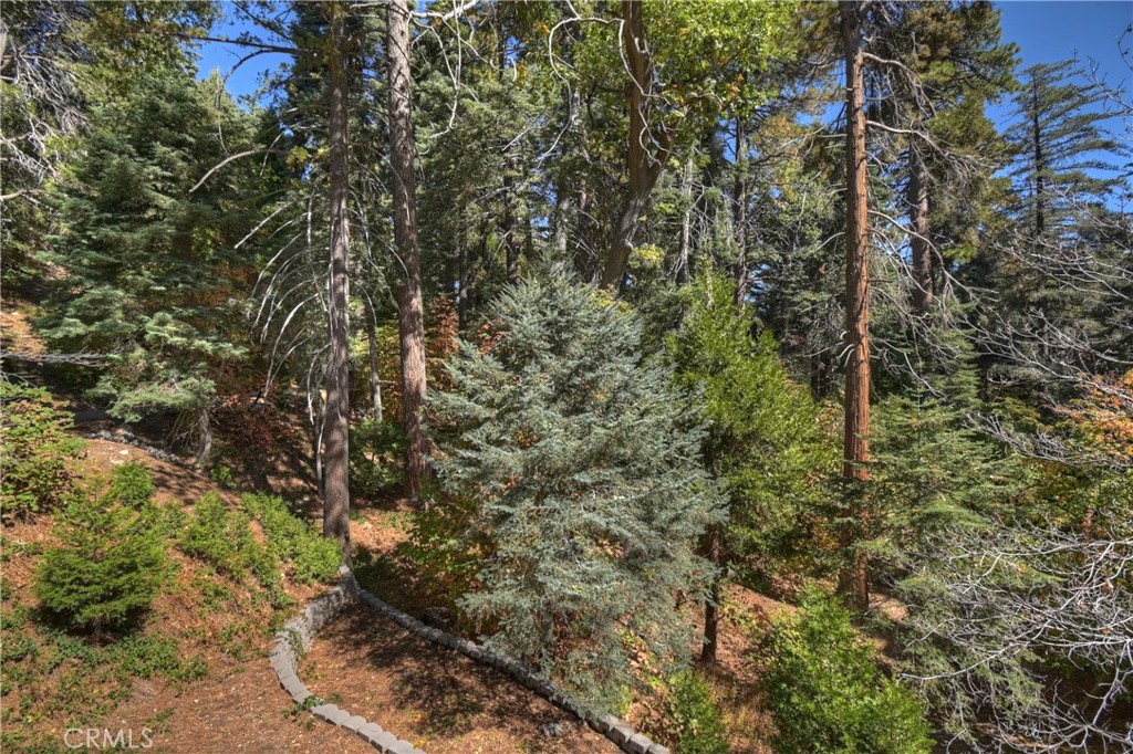 863 Oak Road Lake Arrowhead, CA 92385 - Photo 6 of 42