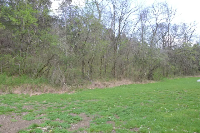a view of green field with trees