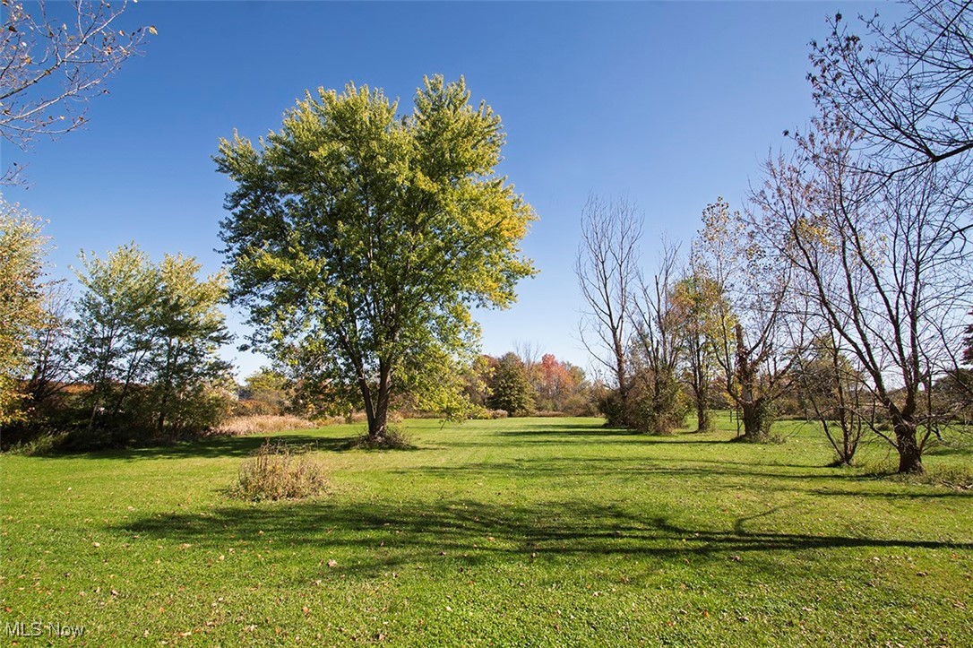 3555 Marks Road Medina, OH 44256 - Photo 17 of 19 View of yard