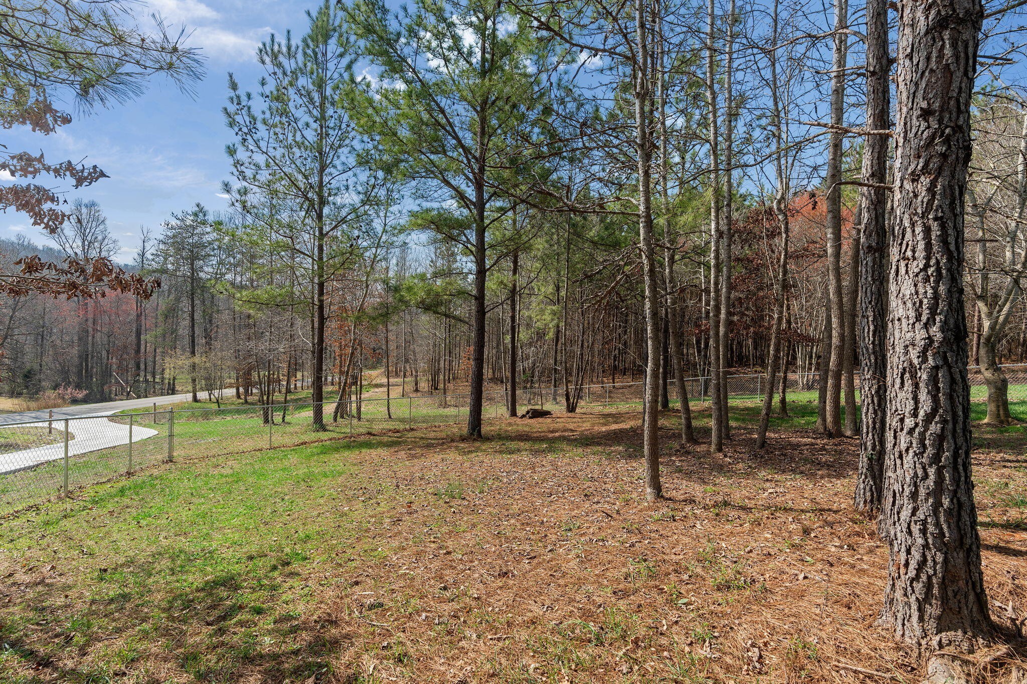 625 Brickell Ridge Road Decatur, TN 37322 - Photo 36 of 38