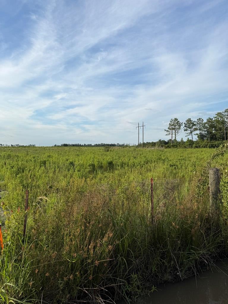1 Conine Road Lakeland, GA 31635 - Photo 3 of 9 Gallery Image 3