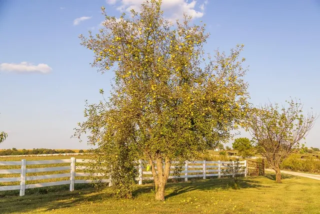 $515,000 | 800 Northwest 950 Road, Blairstown, MO 64726