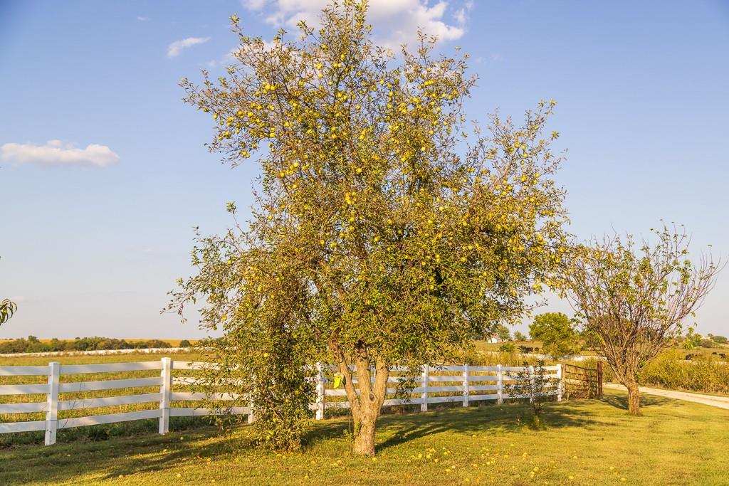 800 Northwest 950 Road Blairstown, MO 64726 - Photo 71 of 72