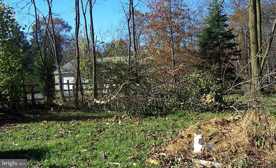 1567 Mt Gretna Road Elizabethtown, PA 17022 - Photo 23 of 24 Gallery Image 23