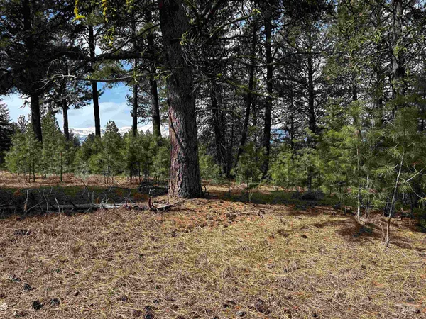 $385,000 | 1483 Pine Lakes Ranch Drive, Cascade, ID 83611