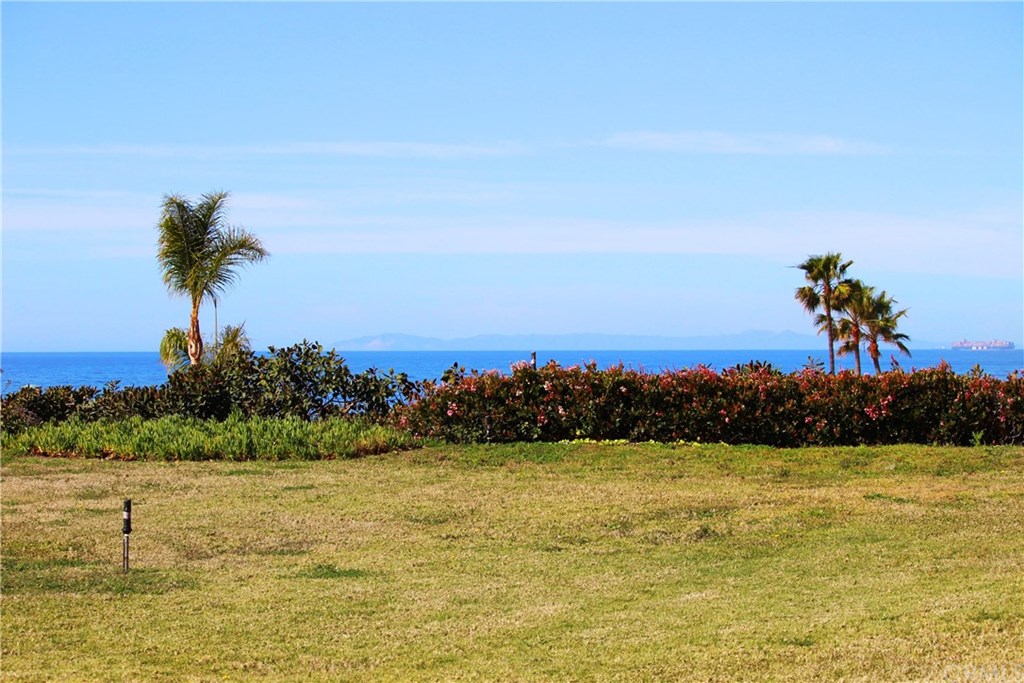 54 Ritz Cove Drive Dana Point, CA 92629 - Photo 23 of 26