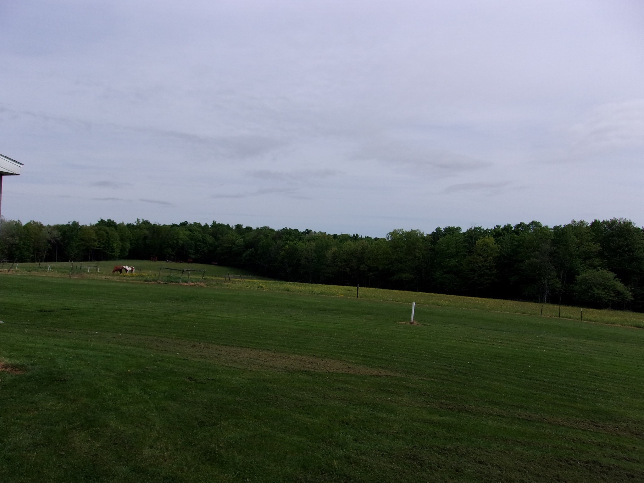 114 Fred Catlin Road Owego, NY 13827 - Photo 41 of 50