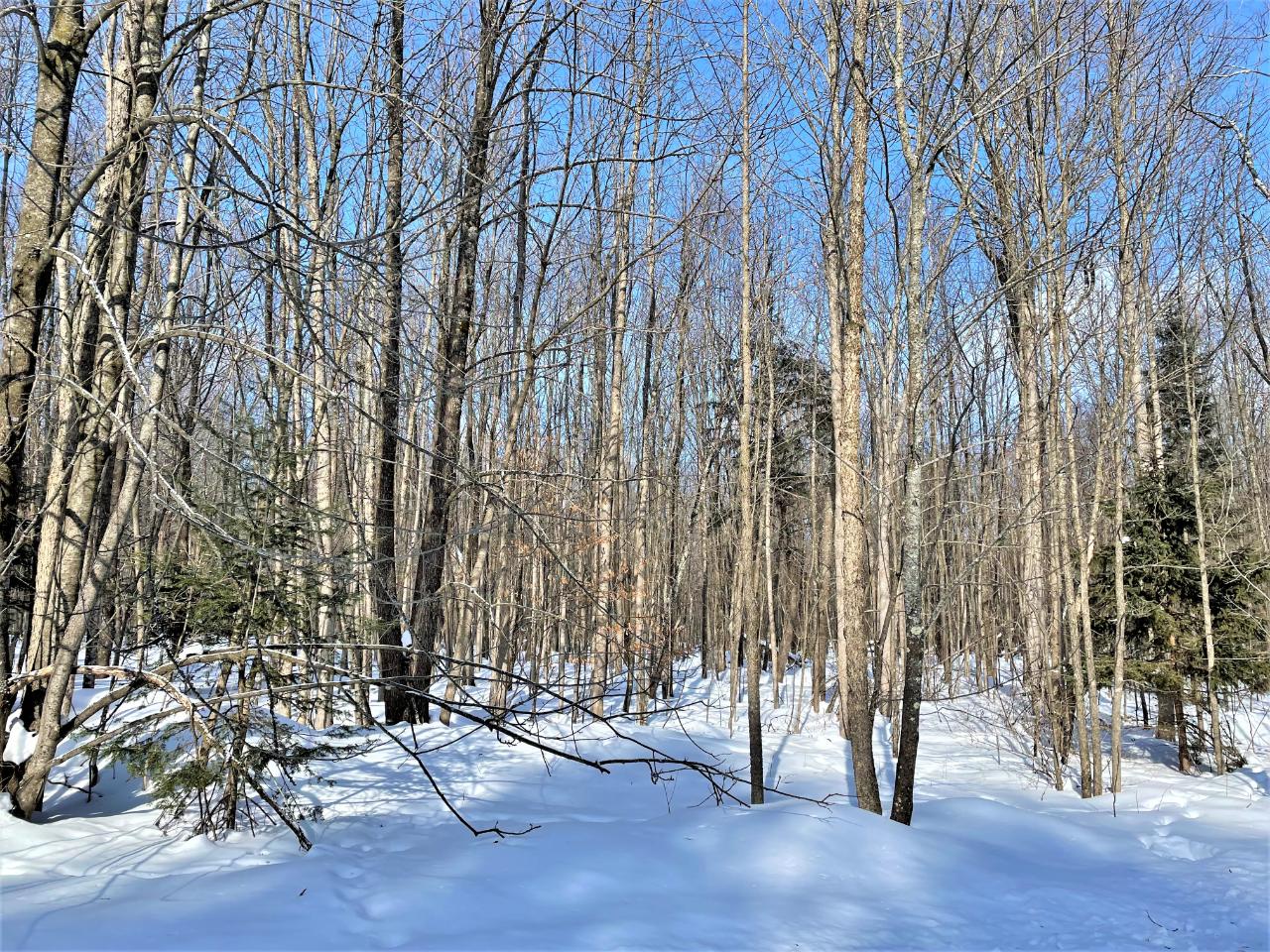 3398 Johnson Road Winter, WI 54896 - Photo 37 of 37 Gallery Image 37