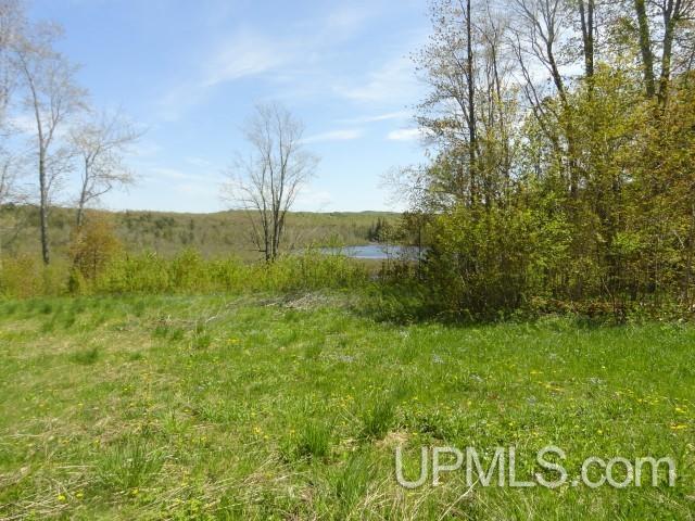 Tbd Autrain Forest Lake Road Au Train, MI 49806 - Photo 12 of 12