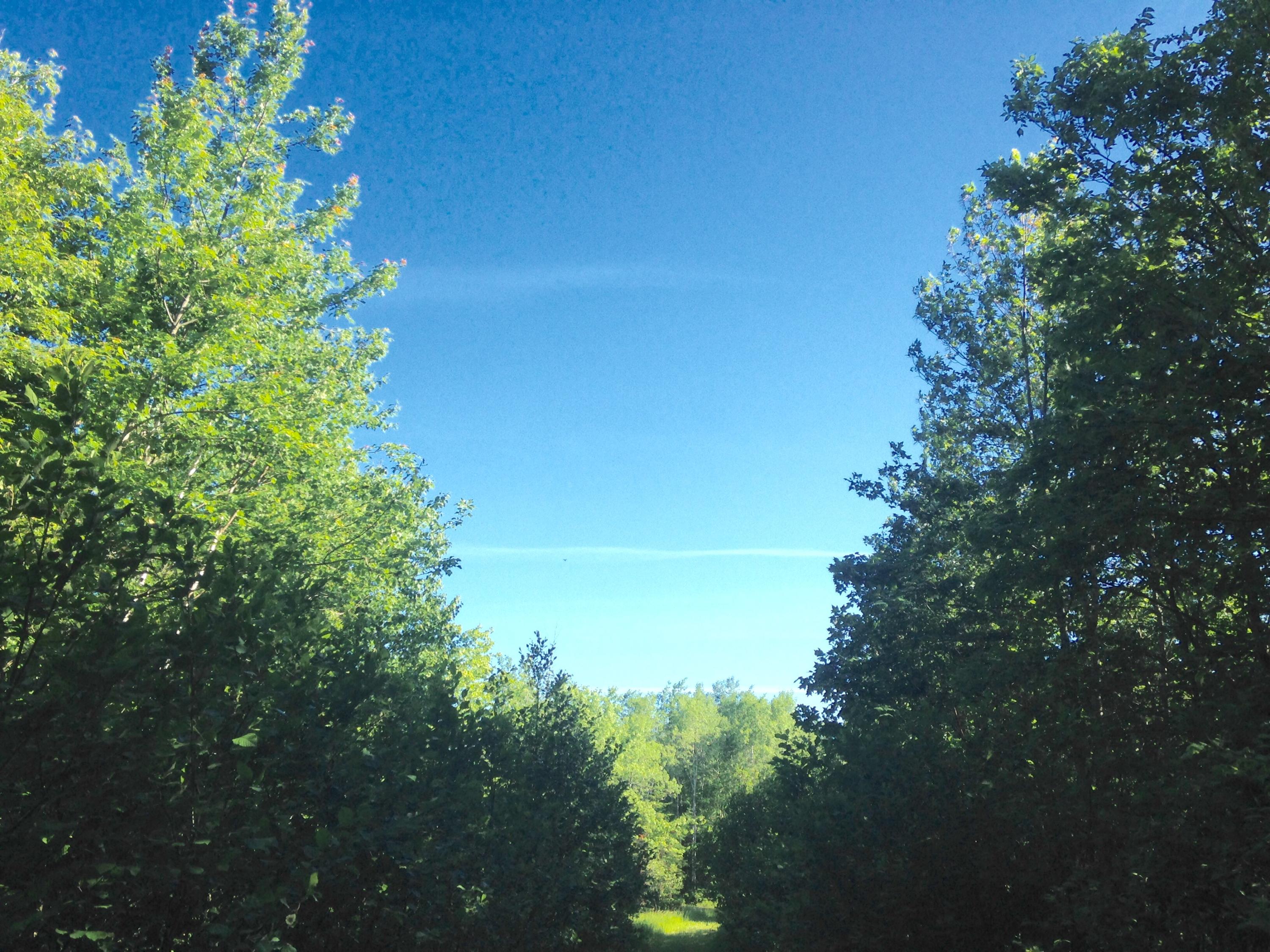 20 Winding Road Bradford, ME 04410 - Photo 11 of 13 trees6