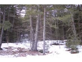 Lot 2 Split Rock Road Grantham, NH 03753 - Photo 5 of 7 Gallery Image 5