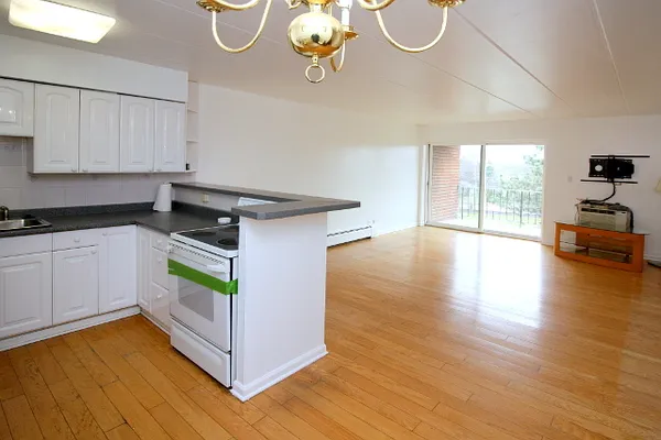 $215,000 | 16 East Old Willow Road, Unit 405S, Prospect Heights, IL 60070