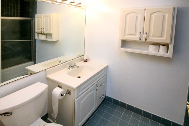 16 East Old Willow Road, Unit 405S Prospect Heights, IL 60070 - Photo 20 of 21