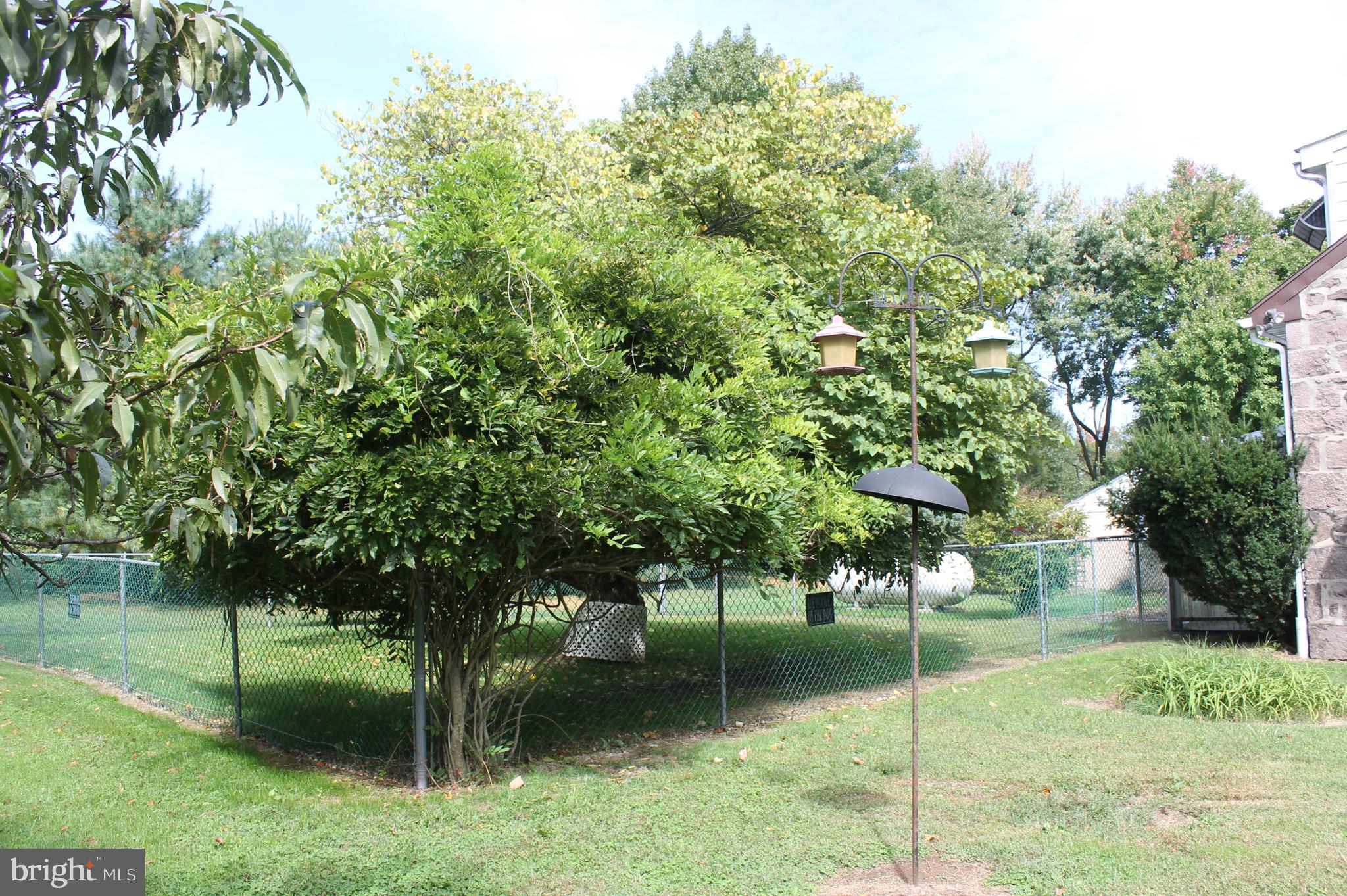 1443 Cedar Top Road Reading, PA 19607 - Photo 30 of 30 Fruit Trees