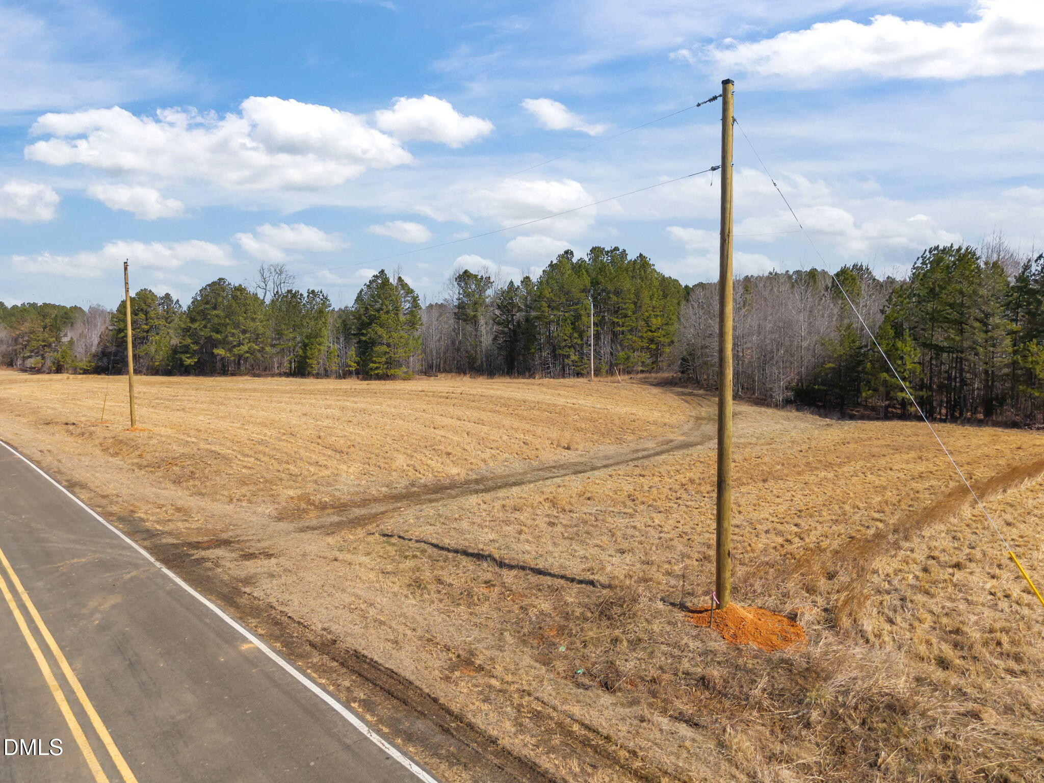 3 Collie Jones Road Rougemont, NC 27572 - Photo 5 of 12 a view of a covered with a tree