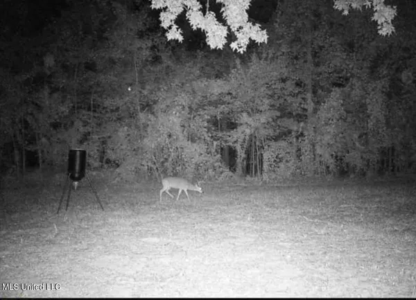 $1,299,000 | Phares Lane, Roxie, MS 39661