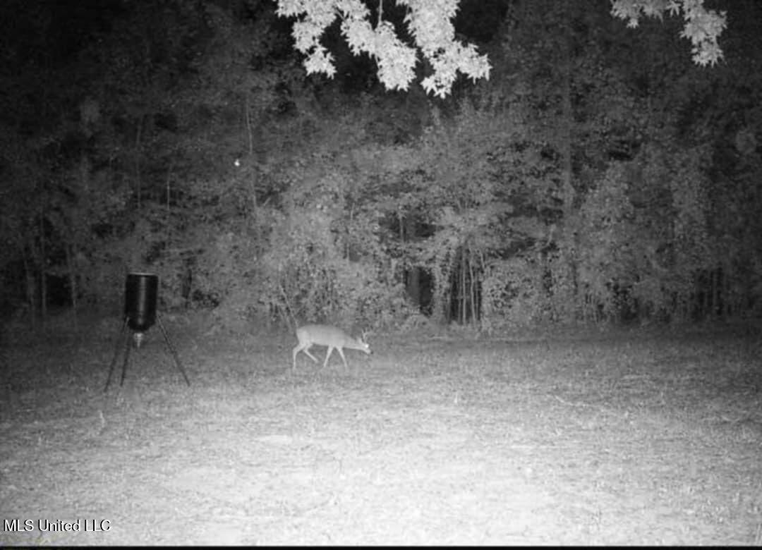 0b8b3697-c7b9-470f-afd0-daa9d0b06c05