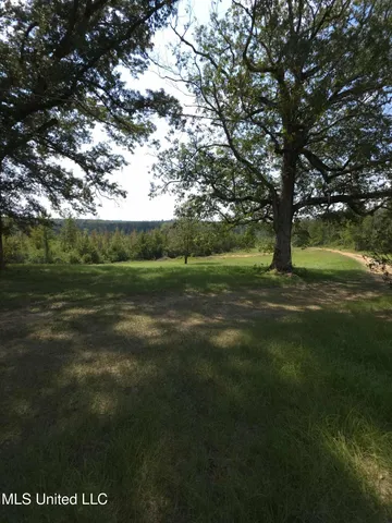 $1,299,000 | Phares Lane, Roxie, MS 39661