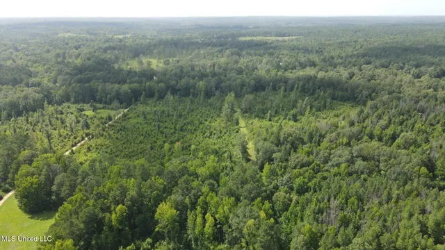 $1,299,000 | Phares Lane, Roxie, MS 39661