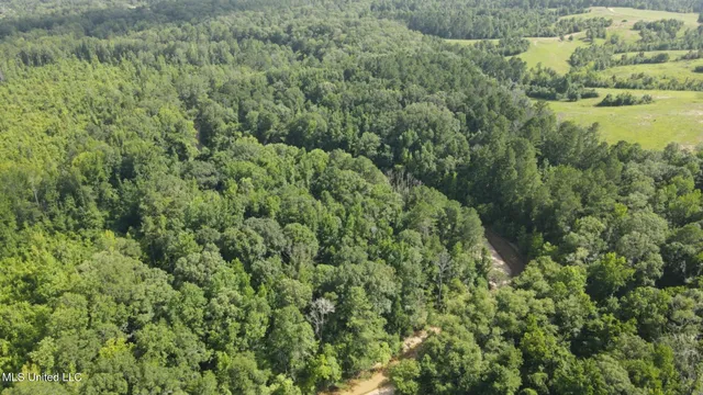 $1,299,000 | Phares Lane, Roxie, MS 39661