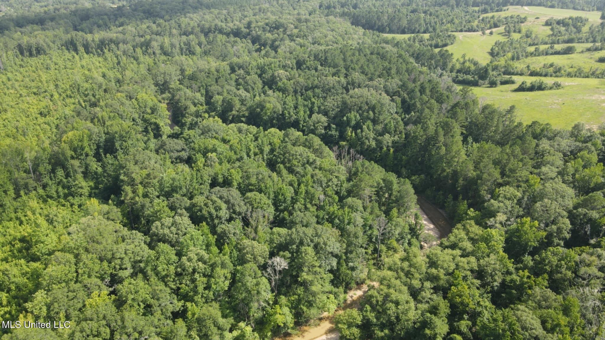 Phares Lane Roxie, MS 39661 - Photo 105 of 173 Messenger_creation_7B5A8BB1-506F-4AEF-84