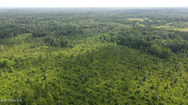 $1,299,000 | Phares Lane, Roxie, MS 39661