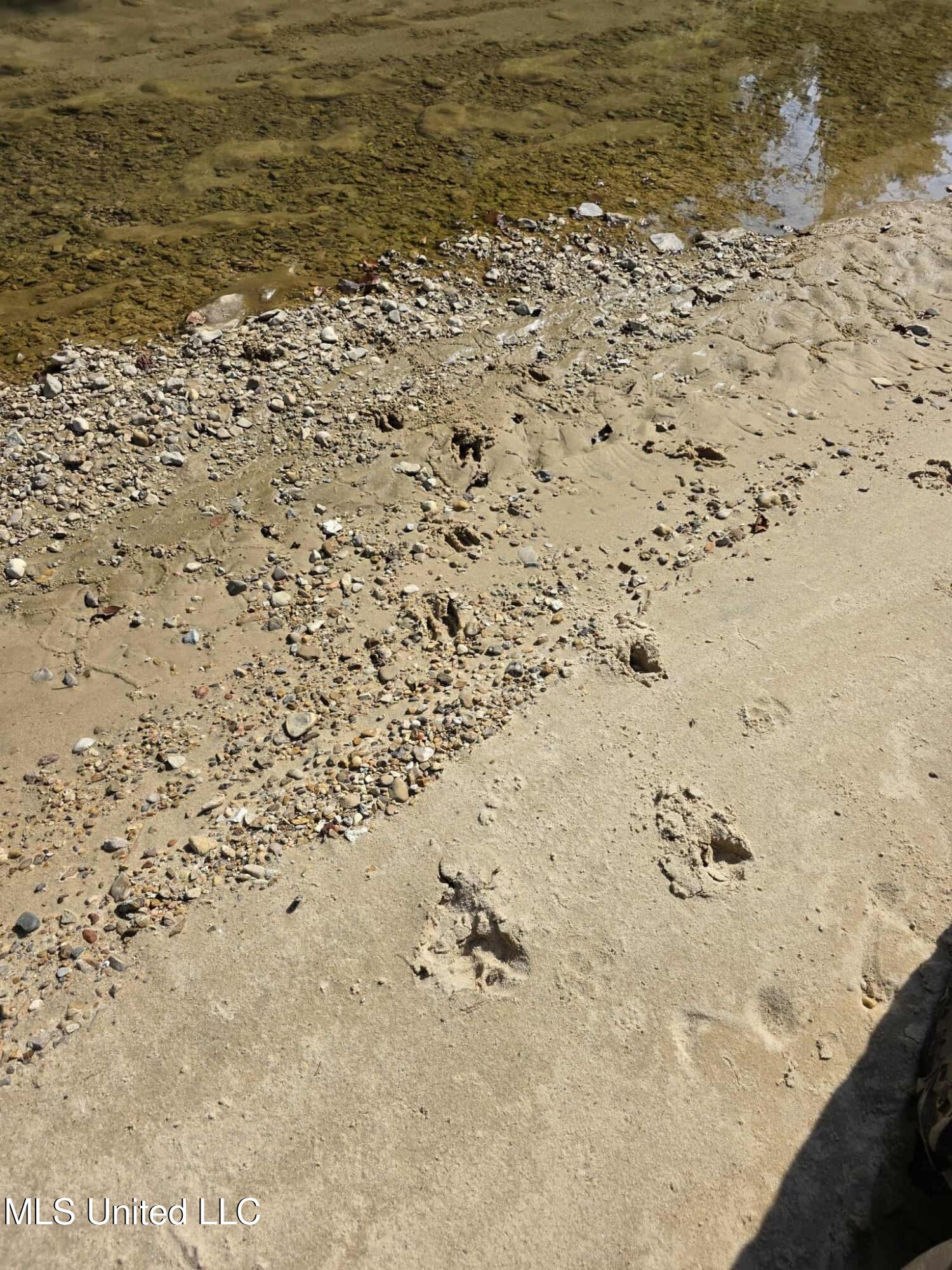 Phares Lane Roxie, MS 39661 - Photo 11 of 173 6a0f7556-cedc-4fb5-b592-cdbd752f23ed