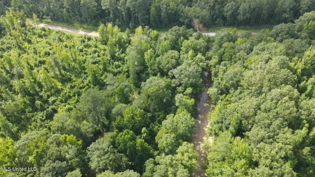 $1,299,000 | Phares Lane, Roxie, MS 39661