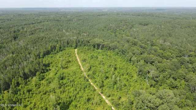 $1,299,000 | Phares Lane, Roxie, MS 39661