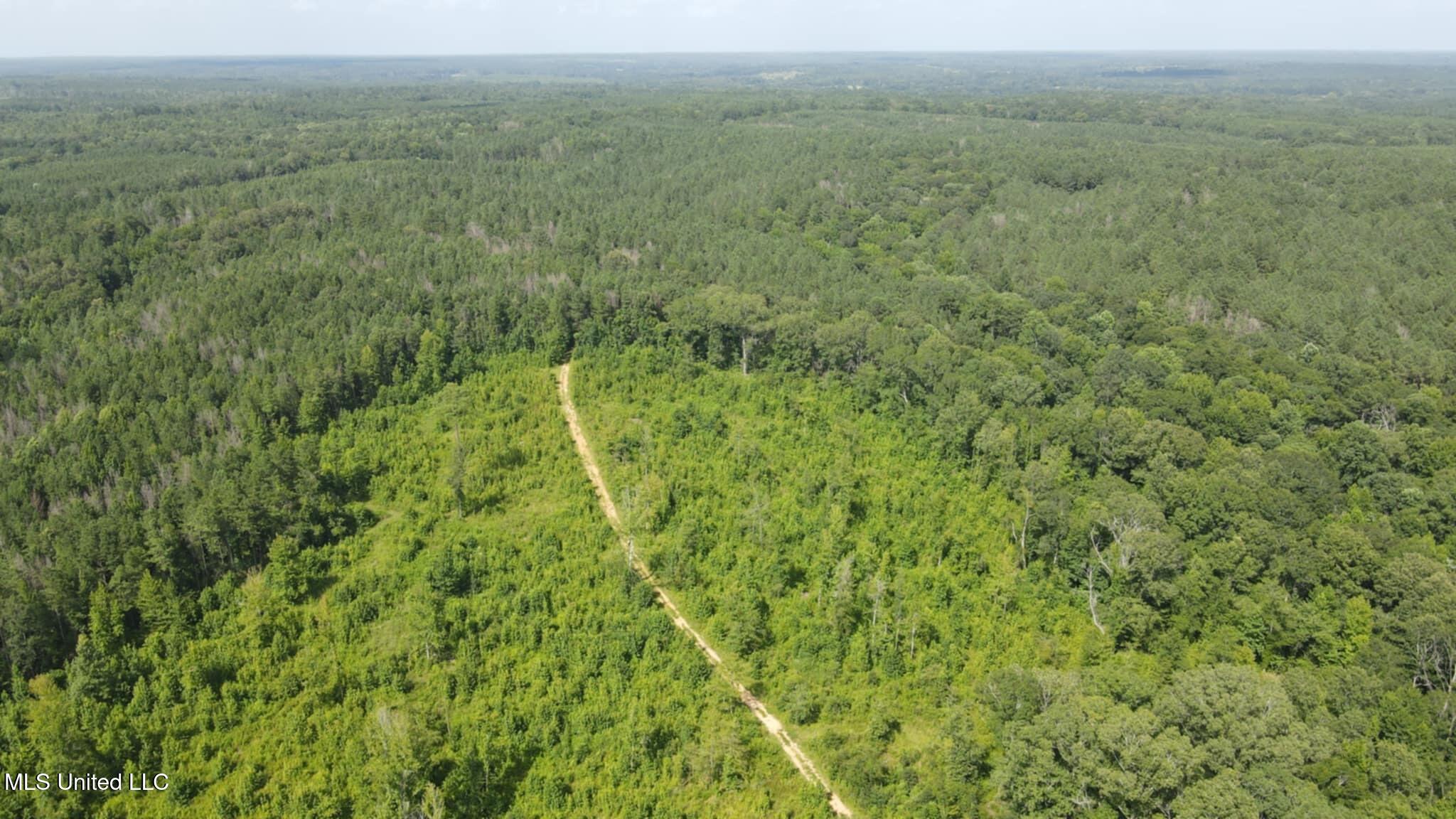 Phares Lane Roxie, MS 39661 - Photo 113 of 173 Messenger_creation_9EB59AE5-1FE2-4B4E-98