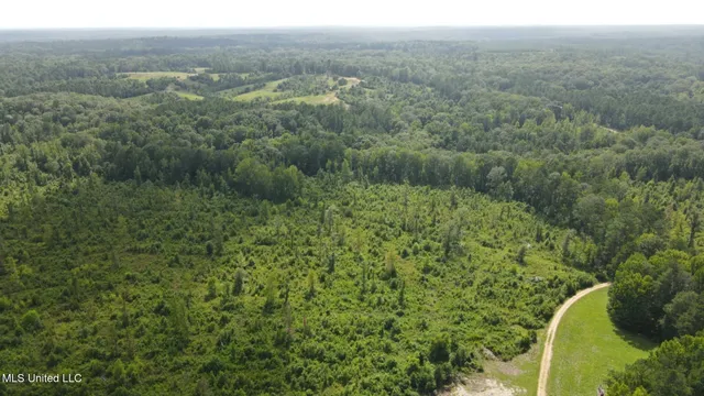 $1,299,000 | Phares Lane, Roxie, MS 39661