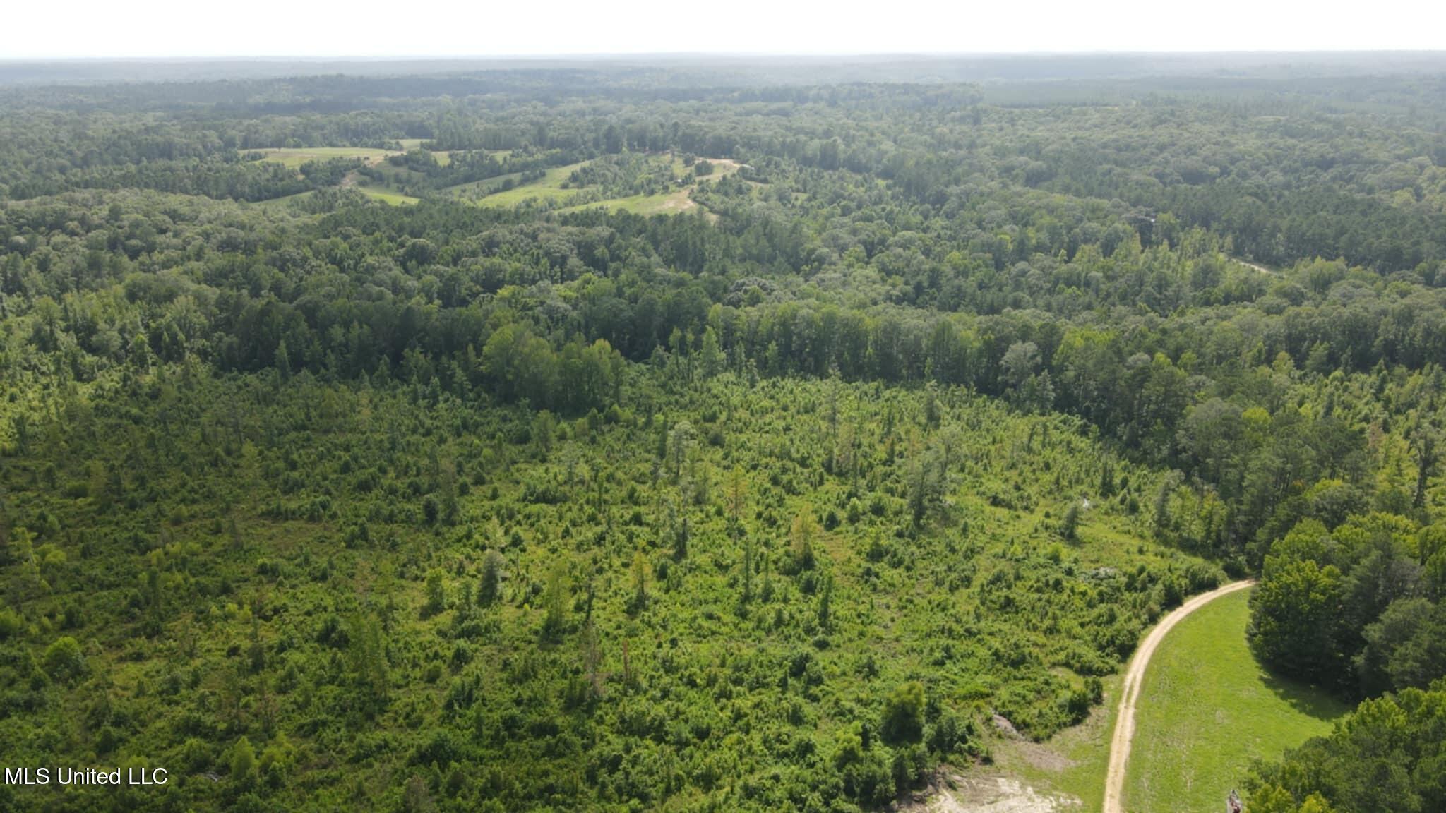 Phares Lane Roxie, MS 39661 - Photo 116 of 173 Messenger_creation_37F44EDE-F004-4FC9-9B
