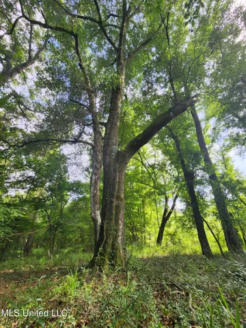 $1,299,000 | Phares Lane, Roxie, MS 39661