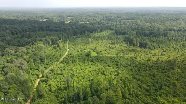 $1,299,000 | Phares Lane, Roxie, MS 39661